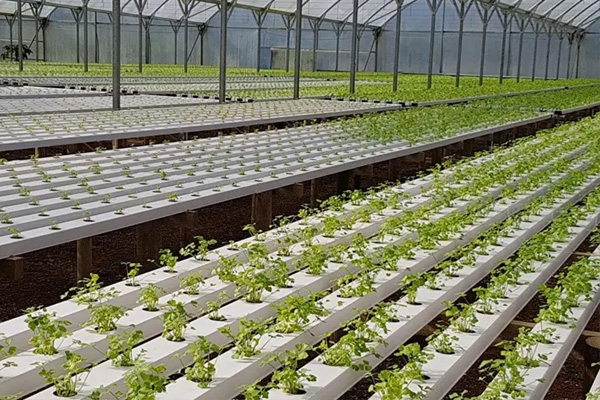 1742800407321444.jpg 碳纤雨水收集模块.jpg