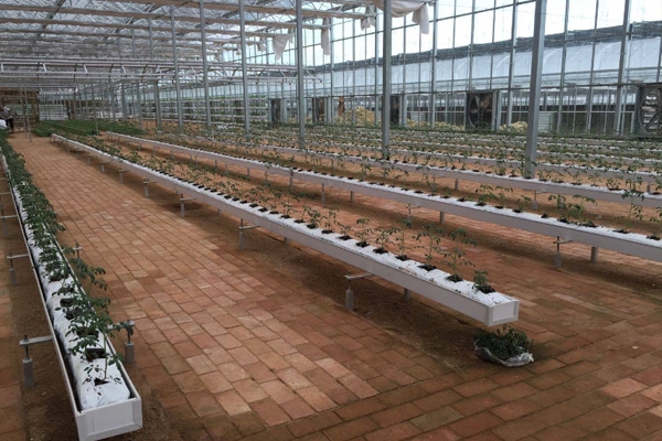 1742800515376543.jpg 碳纤雨水收集模块.jpg